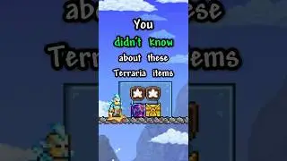 Terraria items you NEVER KNEW about