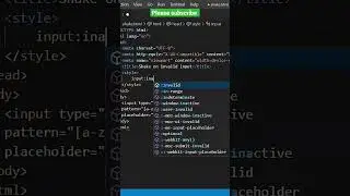 shake animation on invalid input 🔣 using HTML and CSS 
