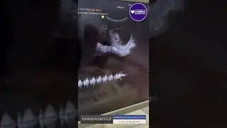 Egizak homiladorlik ultratovush tekshiruvi