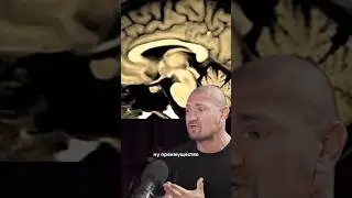 Преимущество воды! Яковина 