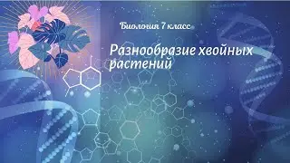 Биология 7 кл Пасечник $17 Разнообразие хвойных растений
