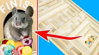 ЛАБИРИНТ ДЛЯ МЫШИ! Новый ЧЕЛЛЕНДЖ для МЕДВЕДЯ ВАНЬКИ. Приключения МЕДВЕДЯ ВАНЬКИ!