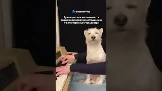 Контролировать сотрудников удобнее с электронными чек-листами в CheckOffice! 