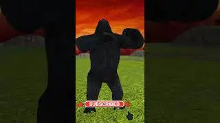 Gorilla vs Bear vs Cheetah