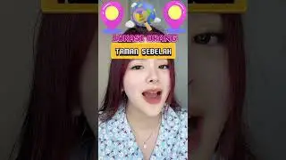 #pov