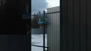Поёт красавец