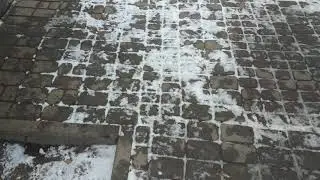 Живут как кошка с собакой.