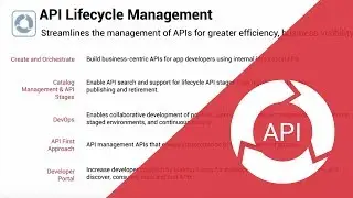 Zoom on API Lifecycle Management