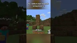 Pov, Ketika LU main Minecraft bareng Temen Lu