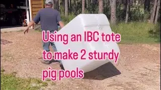 DIY IBC Tote Pig Pools: Sturdy & Affordable #shorts #IBCtote #DIY