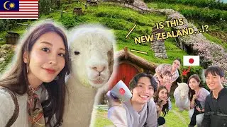 Is This Really Malaysia? Japanese First Impressions Of Cameron Highlands