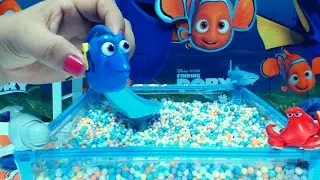 🎆 BUSCANDO A DORY 🎆 En la Piscina de Pelotas