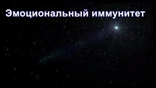 Из ниоткуда в никогда. Часть 21. Нимб и кольцо Леонардо. Дмитрий Гаун.