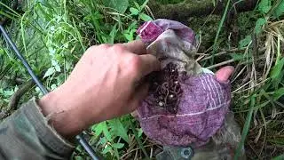 ЧЕРВЬ С ЗАПАХОМ ЧЕСНОКА. ЛУЧШАЯ НАСАДКА НА КАРАСЯ. Рыбалка на карася. Карась. 