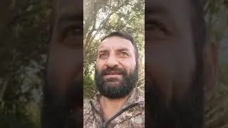 Язь, щука и подлещики на фидер