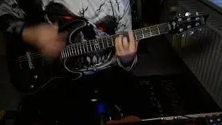 Terror- What have we done (Guitar cover)