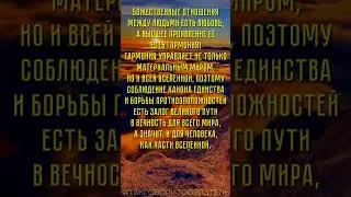 #Цитатник