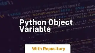 python object variable