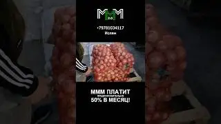 Картофель 