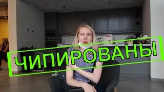Чипировались. Вакцинация Sputnik  V. Второй этап вакцинации от коронавируса.
