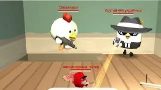 Chicken gun / funny animation video