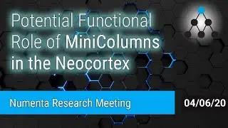 Potential Functional Role for Minicolumns in Neocortex