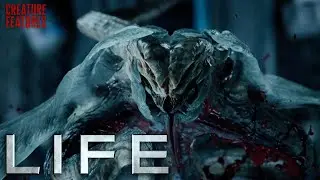 Trapped In A Room With An Alien | Life (2017) | Creature Features