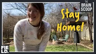 #StayHome #WithMe & stay well!