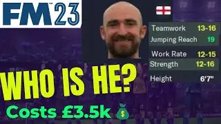 This Powerful Striker Bullied my Defenders | FM23 Bargain Signigs