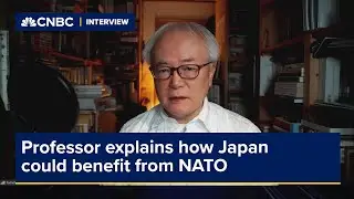 Professor explains how Japan could benefit from NATO