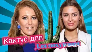 Кактус для похудения❌😂😳