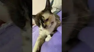 Моя💋🫶 