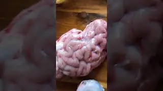 Cold brains mmmm