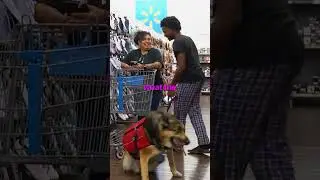 My Chat Controlled My Dog’s Thoughts in Walmart😂 