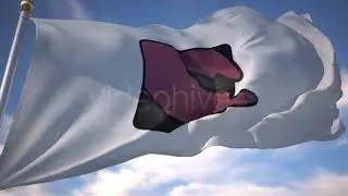 Realistic Flag Maker Presentation AE Video Template 2019 🏁🏳‍🌈