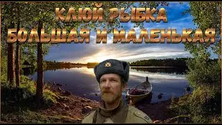 РУССКАЯ РЫБАЛКА 4 РР4 🔴 РЫБАЛКА оз МЕДВЕЖЬЕ 55:63 Кл 21 🎣  ПЕТРОВИЧ В ТАНКАХ ЛОВИТ ТРОФЕЕВ )