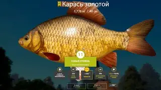 ПОЙМАЛ ЗОЛОТОГО КАРАСЯ ПОЧТИ НА 2 КГ! ПОЛУЧИЛ НОВУЮ УДОЧКУ ЗА 11 УРОВЕНЬ В РУССКОЙ РЫБАЛКЕ