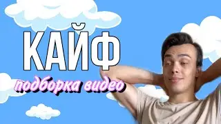 ЭТО ПРОСТО КАЙФ (ПОДБОРКА СМЕШНЫХ ВИДЕО) 2 часть - ALEXLON