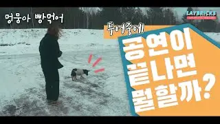 (12화) 너무 러시아스러운 휴게소? 기념품가게? I 레이브릭스 좌충우돌 40일간의 해외 투어[러시아, 우크라이나, 벨라루스]