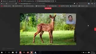 CLASE 2  seguridad informatica webinar