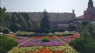 Александровский сад. Москва. Август 2024.
