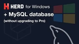 MySQL with Laravel Herd on Windows (without upgrading to Pro)