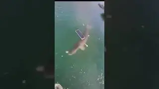 How not to fish for pike!!! Как не надо ловить Щуку!!!