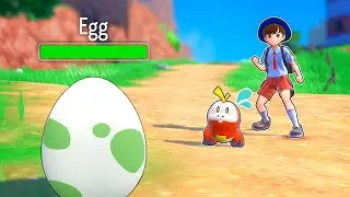 Catching a Full Team of Pokémon for a Battle but... They're EGGS!?