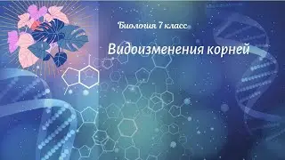 Биология 7 кл Пасечник $21 Видоизменения корней