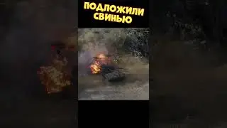 Подложили свинью | 