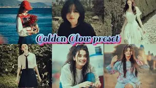Golden Glow - Golden glow preset / Golden hour preset / Moody preset / preset gratis / lr preset