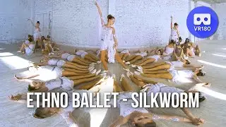 VR180 3D.  Ethno Ballet 17 - Silkworm