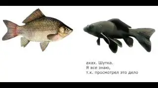 Приключения Карася #2 - Так это был ты?