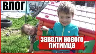 ВЛОГ Завели нового питомца блог многодетной семьи